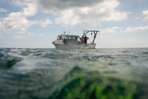 Amber Schmidt, a senior scientific specialist with Illinois Natural History Survey, looks out to the water after completing a dive, collecting samples at the artificial reef off the coast of Illinois Beach State Park, June 30, 2025, in Zion. (Audrey Richardson/Chicago Tribune)