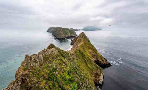 The view from Inspiration Point on East Anacapa Island. Anacapa Island is one of five islands that make up Channel Islands National Park off the coast of Ventura, CA and is composed of three islets: East, Middle and West. (Photo by Paul Bersebach, Orange County Register/SCNG)