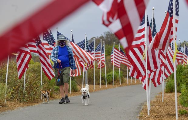 A visitor to Castaways Park walks among 1,776 flags posted along the trials in Newport Beach, CA, on Wednesday, May 26, 2021. The flags, set up by the Exchange Club of Newport Harbor were set up on May 15 for Armed Forces Day and will remain until Memorial Day on May 31. This is the 12th year the club has posted flags in the park.  (Photo by Jeff Gritchen, Orange County Register/SCNG)
