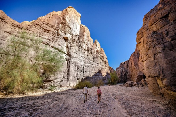 Joshua Tree National Park and all national parks will be free to visit on April 19, which kicks off National Park Week. (Photo by Watchara Phomicinda, The Press-Enterprise/SCNG)