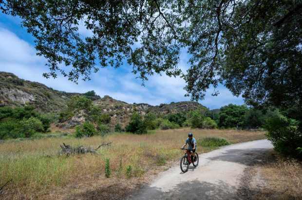 A mountain biker rides into the shade of an oak tree along the Arroyo Trabuco Trail in O'Neill Regional Park in Trabuco Canyon in early June 2025. The park encompasses 4,500 acres in Trabuco and Live Oak Canyons and includes 23 miles of trails and a campground. (Photo by Mark Rightmire, Orange County Register/SCNG)