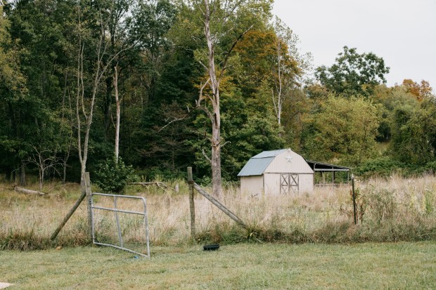 A fenced-in area in West Virginia, now overgrown, where Alicia Upton once kept a horse that she bought and trained herself. (Kristian Thacker for The New York Times)