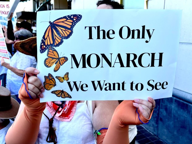 Protest sign seen at the No Kings protest in downtown Redlands on Saturday, June 14. (Photo by Beau Yarbrough, San Bernardino Sun/SCNG)