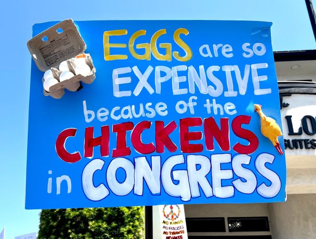 Protest sign seen at the No Kings protest in downtown Redlands on Saturday, June 14. (Photo by Beau Yarbrough, San Bernardino Sun/SCNG)