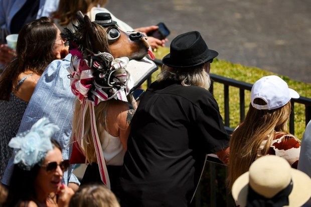 Fans watch during Opening Day at the Del Mar Racetrack on Friday, July 18, 2025 in Del Mar, CA. (Meg McLaughlin / The San Diego Union-Tribune)